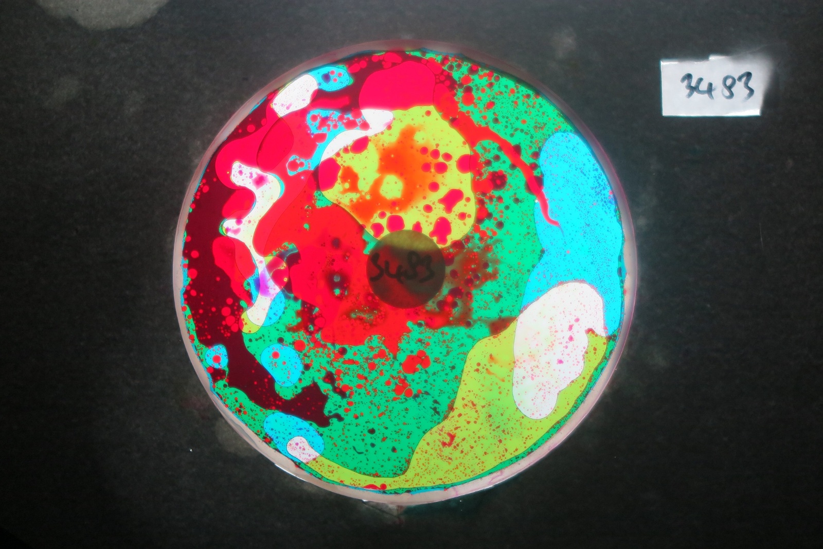 BV3483 bubble vision oil wheel